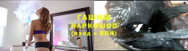 гашик Арсеньев