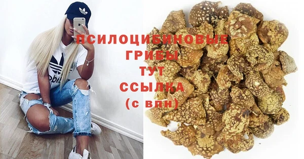 каннабис Аркадак