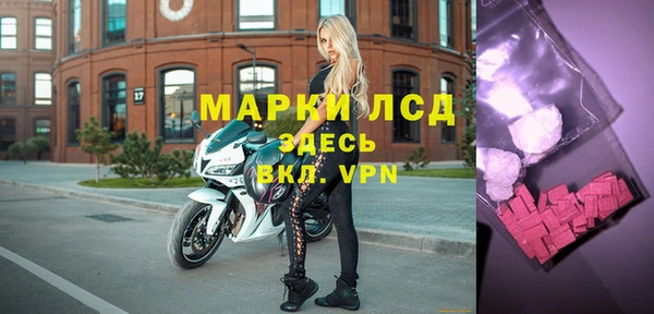 индика Армянск
