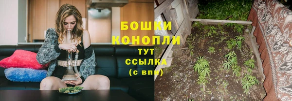 гашик Арсеньев