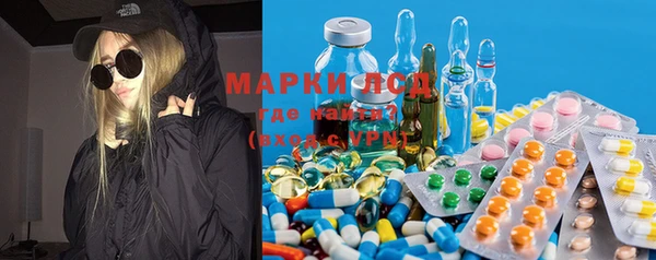 гашик Арсеньев