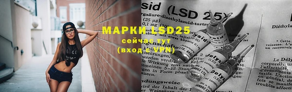 каннабис Аркадак