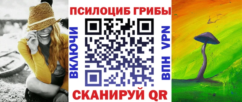 Галлюциногенные грибы Psilocybe  Партизанск 